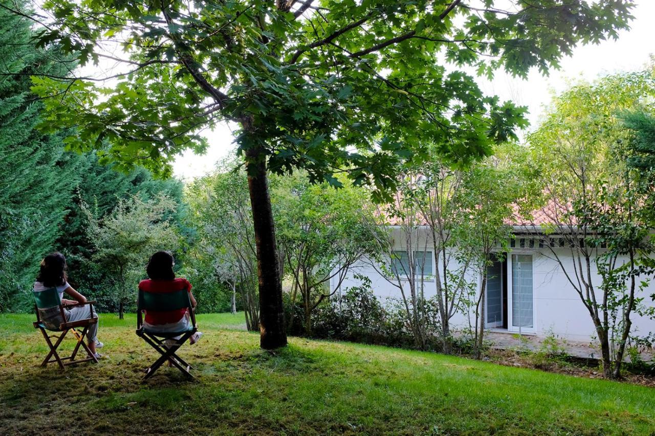 Casa Do Galo / Galo House Villa Vimioso Eksteriør bilde